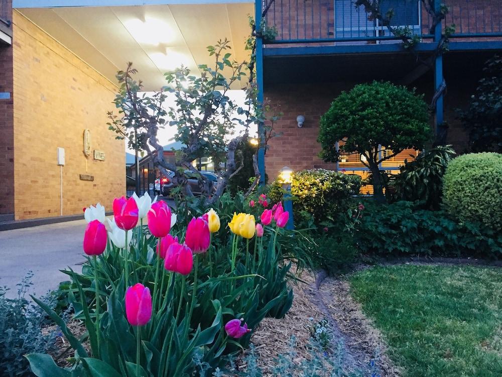 The Vines Motel & Cottages 스탄소프 외부 사진